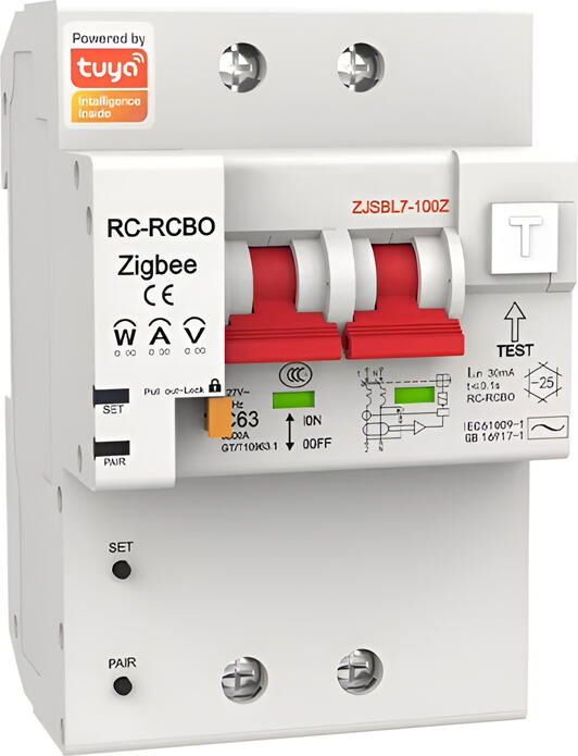 Moes Zigbee Circuit Breaker  2P 100A with Energy Monitoring( OCP / OVP / UVP)