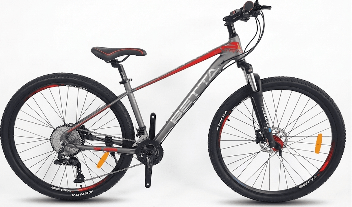 Alvas Betta 29 gri - Biciclete > Roți la 29