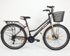 City / Urban Bikes