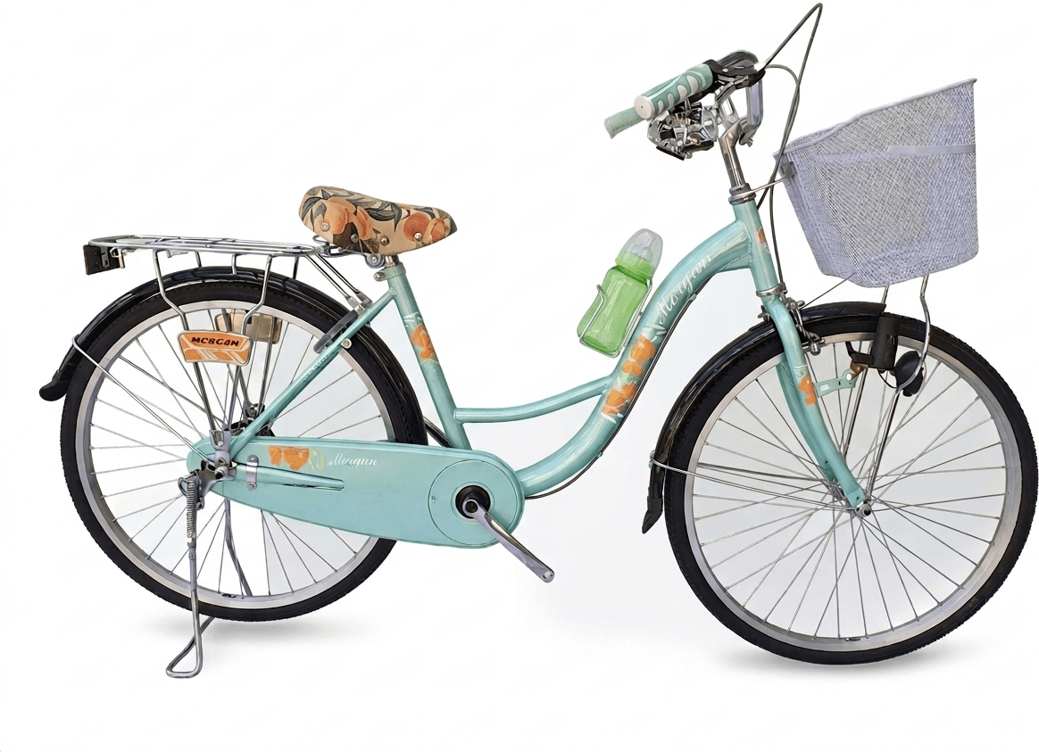 Bicicletă Morgan Lady 24 - Biciclete > De dame