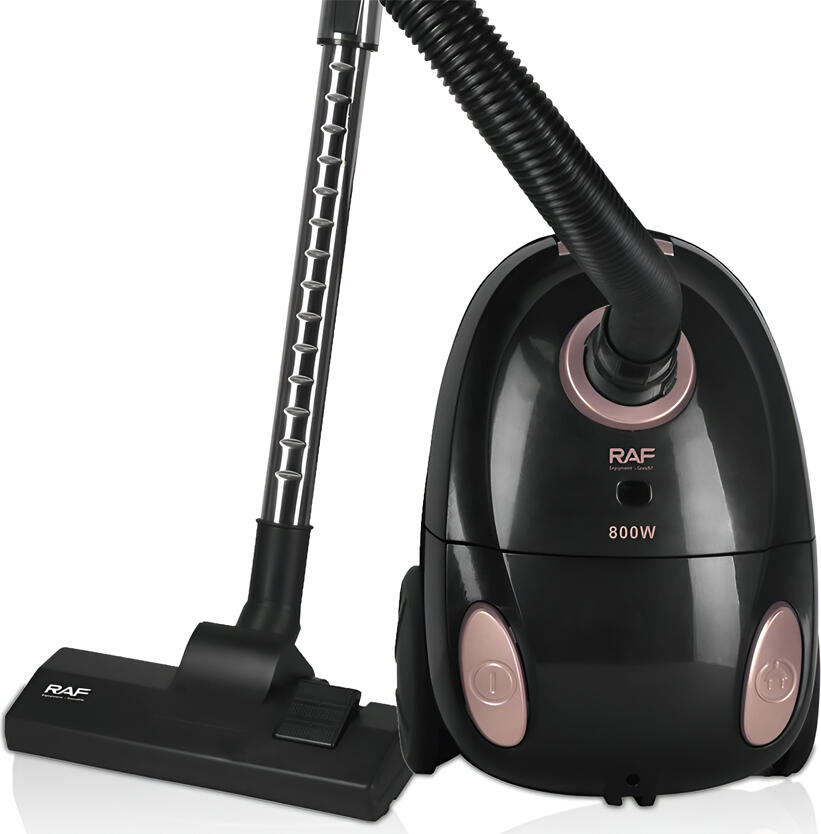 Aspirator cu sac Raf R.8677, Putere 800W, Design Compact, Nivel de Zgomot Redus, Utilizare Domestica, Negru