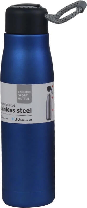 NO Brand Daily Thermos 550 ML SJ429-27, Blue