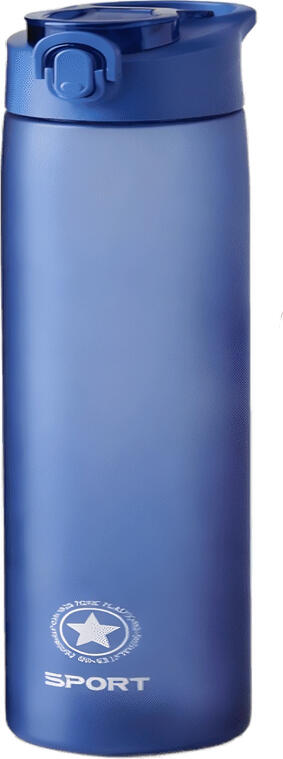 NO Brand Daily Water Bottle 950 ML SJ01-2473, Blue
