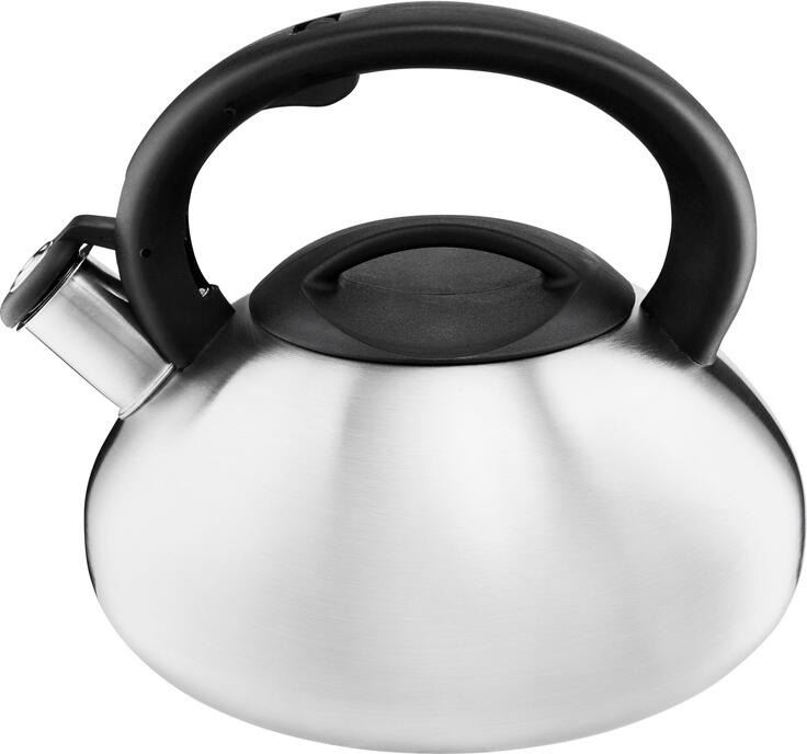 Ambition, Kettle With Induction Button, Melody, 2.5 L, Stainless Steel, Plastic