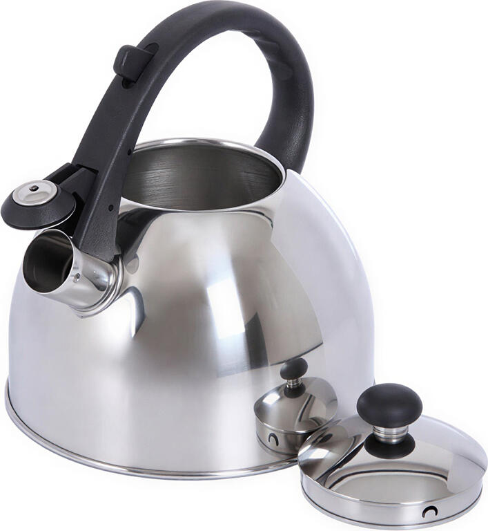 Domotti Ponti Whistling Kettle, 1.5L Stainless Steel Non-Electric Teapot, Induction Compatible, Heat-Resistant Bakelite Handle, Silver