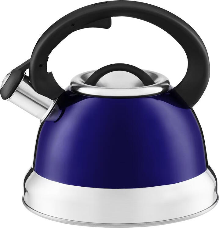 Ambition, Kettle, Rene, Black Handle, Color Body Mix, Stainless Steel, Plastic