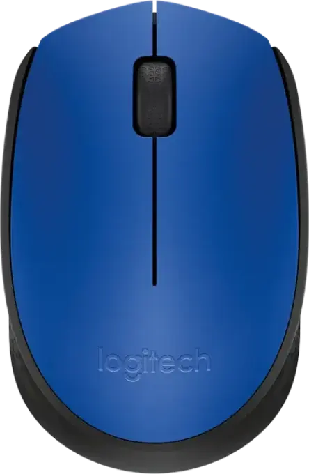 Logitech M171 Wireless Optical Mouse, Blue, 1000 DPI, 2.4 GHz Wireless USB Connection, Ambidextrous Design, 10m Range, Compatible with Windows, Mac, Chrome OS, Linux