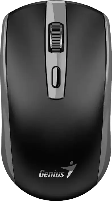 Mouse Genius ECO-8150, Gri