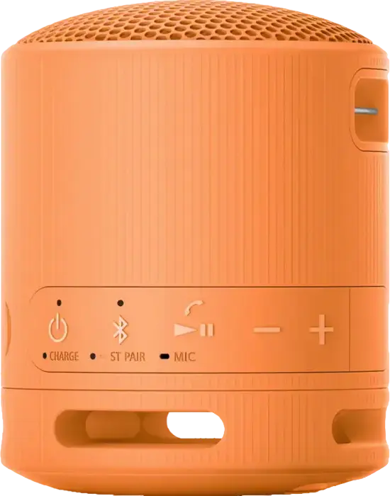Портативная беспроводная Bluetooth-колонка Sony SRS-XB100, цвет Оранжевый, защита IP67, до 16 часов работы, USB-C, поддержка Stereo Pair, мощность 2.5 Вт