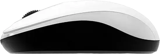 Genius DX-110 Wired Optical Mouse, White, 1200 DPI, 3 Buttons, Ambidextrous Design, USB Interface, 1.5m Cable, Compatible with Windows and macOS