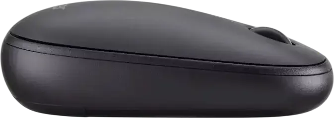 Acer AMR100 Wireless Optical Mouse, Black, 1600 DPI, Silent Operation, Ergonomic Bubble Design, USB RF Receiver, Battery Powered