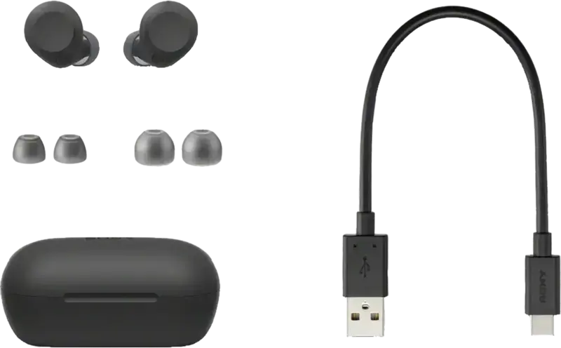Sony WF-C710N True Wireless Earbuds, Black, Active Noise Canceling (ANC), Bluetooth 5.3, IPX4 Water Resistant, 20Hz-20kHz, Up to 12h Battery Life, TWS