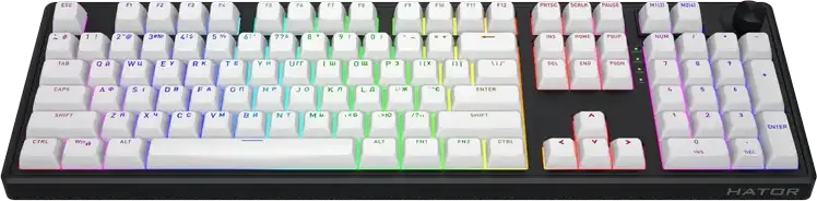 HATOR Skyfall 100 Mechanical Keyboard, HATOR Aurum Lemon Linear Switches, Gasket Mount, Hot-swap, RGB Lighting, Wireless, Black