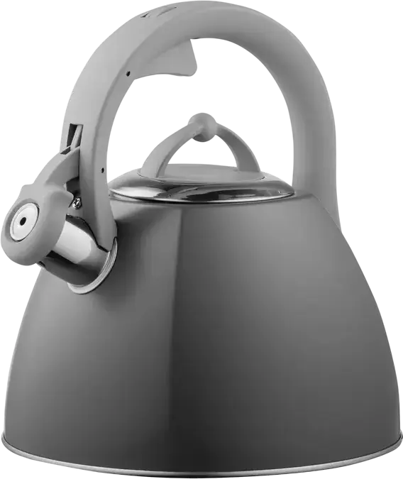 Ceainic Ardesto AR1947KB, 2,5L, Gri