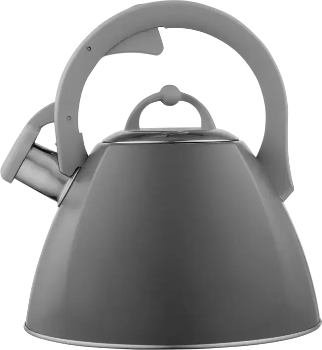 Ceainic pentru plita Ardesto AR1947KB Gemini, 2.5L Otel Inoxidabil cu Fluier si Toaca Pliabila, Maner Soft-touch, Compatibil cu toate Plitele, Gri