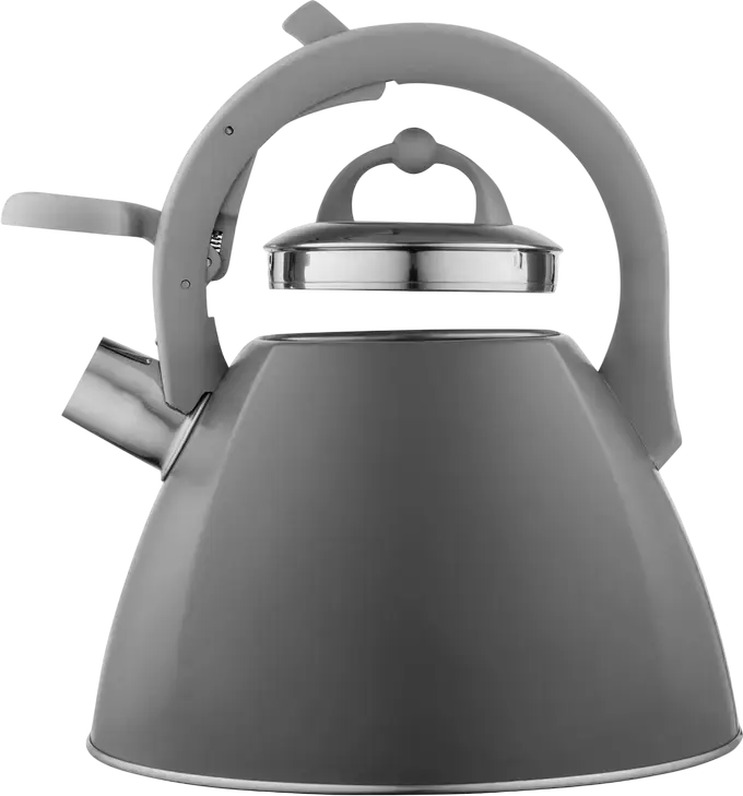 Ceainic pentru plita Ardesto AR1947KB Gemini, 2.5L Otel Inoxidabil cu Fluier si Toaca Pliabila, Maner Soft-touch, Compatibil cu toate Plitele, Gri