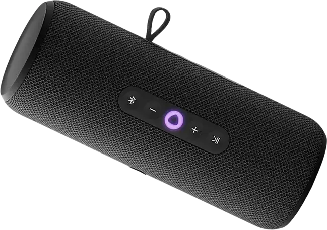 Yandex Station Street YNDX-00030BLK Boxa Smart Portabila, Putere 30W RMS, Protectie IP67 Rezistenta la Apa si Praf, Asistent Vocal Alisa, Bluetooth 5.0, Wi-Fi