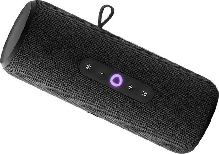 Yandex Station Street YNDX-00030BLK Boxa Smart Portabila, Putere 30W RMS, Protectie IP67 Rezistenta la Apa si Praf, Asistent Vocal Alisa, Bluetooth 5.0, Wi-Fi