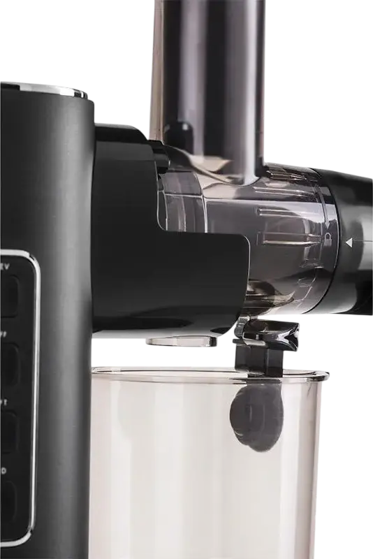 Zelmer ZJP3900 EasyJuice Slow Masticating Juicer, 150W, 2 Auto Programs (Hard/Soft), 45mm Feeding Tube, Reverse Function, FastClean, Black