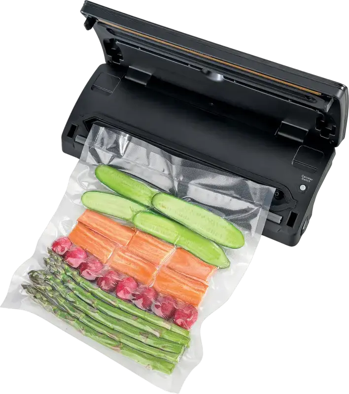 Gorenje VS120ES Vacuum Sealer, 120W, Stainless Steel and Plastic Housing, Grey, for Preserving Meat and Fish, with Cable Storage