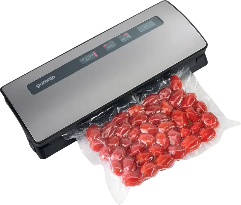 Gorenje VS120ES Vacuum Sealer, 120W, Stainless Steel and Plastic Housing, Grey, for Preserving Meat and Fish, with Cable Storage
