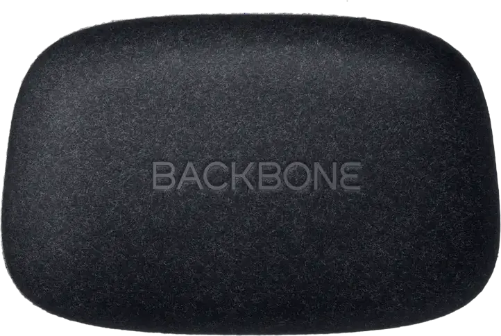 Backbone One Carrying Case, Hard Shell Travel Protection Case with Felt-like Texture and Shock-Absorbing Foam, Fits Backbone One and PlayStation Edition