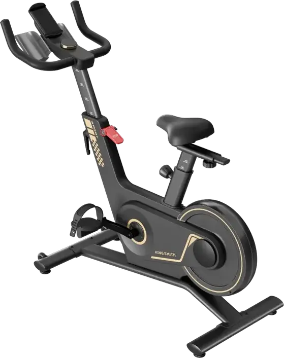 Bicicleta de Spinning Kingsmith PB-08S cu Rezistenta Magnetica, Volant 8kg, 40 Nivele de Intensitate, Ecran LED, Alimentare Auto-generatoare, Neagra
