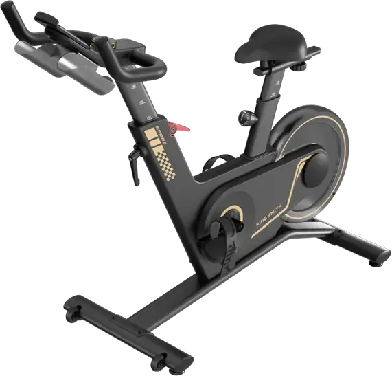 Bicicleta de Spinning Kingsmith PB-08S cu Rezistenta Magnetica, Volant 8kg, 40 Nivele de Intensitate, Ecran LED, Alimentare Auto-generatoare, Neagra