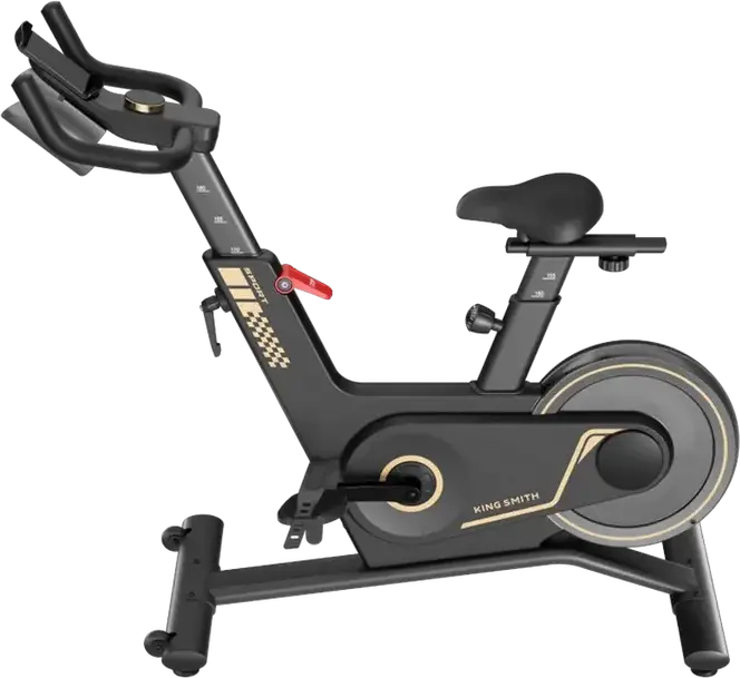 Bicicleta de Spinning Kingsmith PB-08S cu Rezistenta Magnetica, Volant 8kg, 40 Nivele de Intensitate, Ecran LED, Alimentare Auto-generatoare, Neagra
