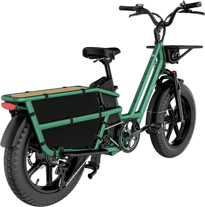 Fiido T2 Longtail Cargo Electric Bike, 250W Motor, 48V 998.4Wh Battery, 136km Range, 20x4 inch Fat Tires, Hydraulic Disc Brakes, Aluminum Frame