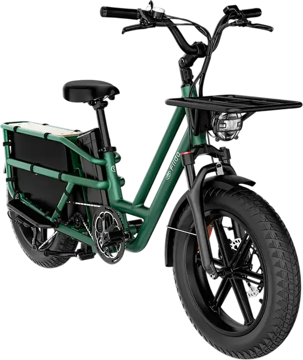 Fiido T2 Longtail Cargo Electric Bike, 250W Motor, 48V 998.4Wh Battery, 136km Range, 20x4 inch Fat Tires, Hydraulic Disc Brakes, Aluminum Frame