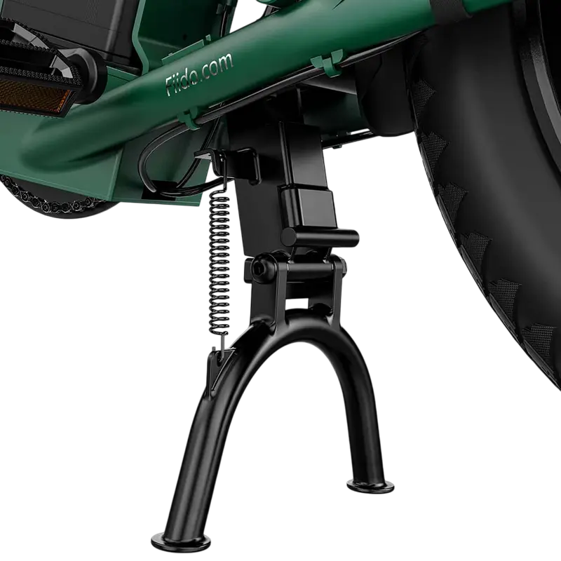 Fiido T2 Longtail Cargo Electric Bike, 250W Motor, 48V 998.4Wh Battery, 136km Range, 20x4 inch Fat Tires, Hydraulic Disc Brakes, Aluminum Frame