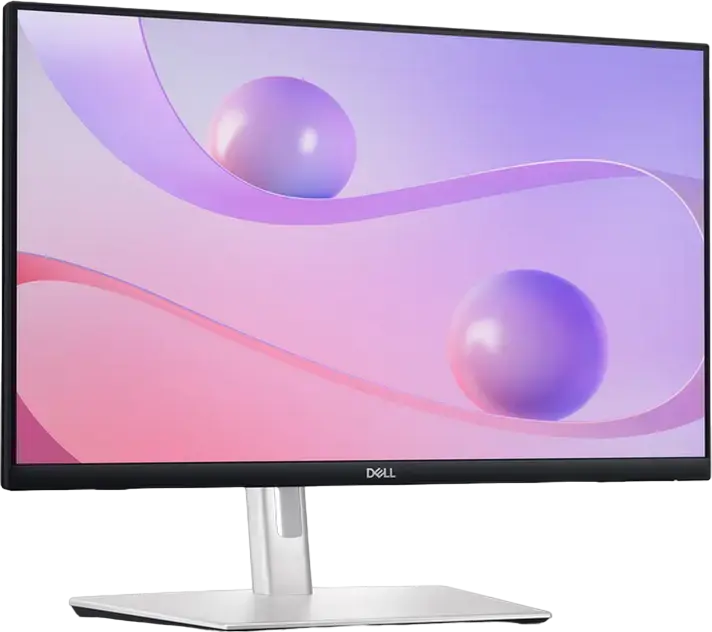 23,8" Monitor DELL P2424HT, IPS 1920x1080 FHD, Negru | Argintiu