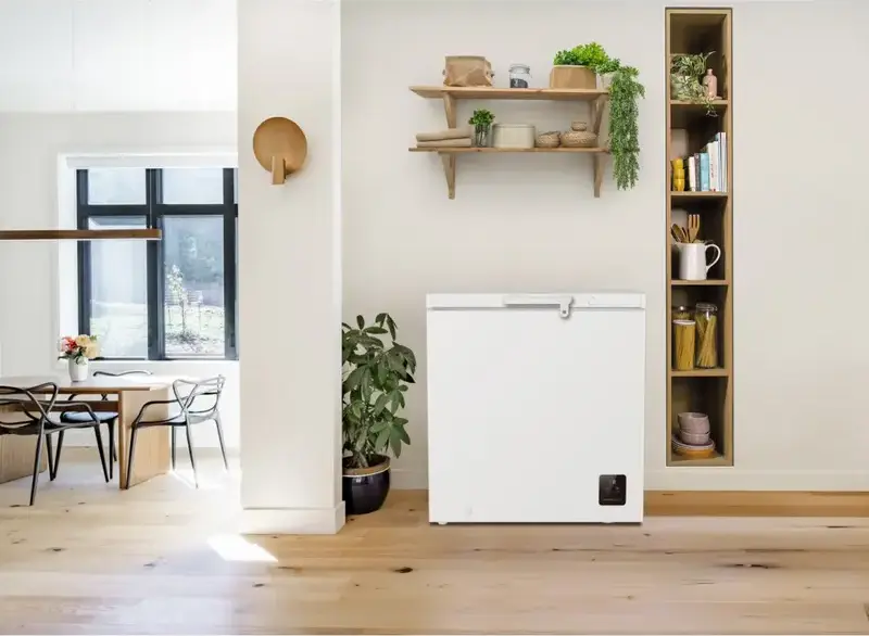 Congelator Gorenje FH20E6W5 Vertical, 198L, Clasa Energetica E, Compresor Inverter, AdvancedNoFrost, FastFreeze, Alb, 85.8x78.7x55.2 cm