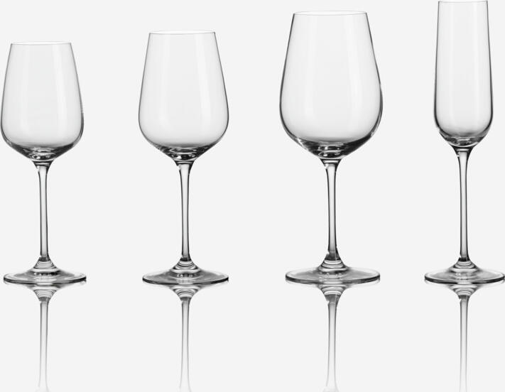 VEGA Medina Champagne Glass, 180ml, 241mm Height, 42mm Diameter, High-Quality Crystal Glass, Slender Tall Goblet with Thin Rim, Dishwasher-Safe