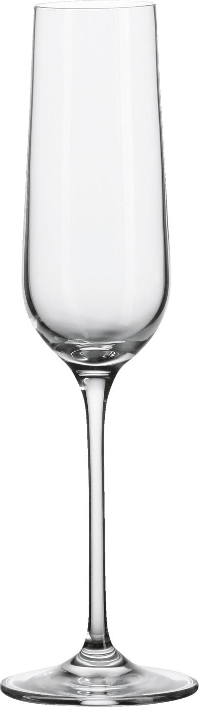 VEGA Medina Champagne Glass, 180ml, 241mm Height, 42mm Diameter, High-Quality Crystal Glass, Slender Tall Goblet with Thin Rim, Dishwasher-Safe