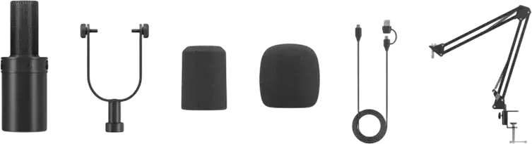 Microfon de Studio Dinamic Boya CastMic P60B, Cardioida, Iesiri Dual USB-C si XLR, 24-bit/48kHz, cu Brat de Suspendare si Pop Filter pentru Podcast
