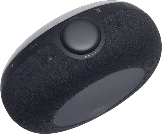 Boxa Radio cu Ceas JBL Horizon 2 Bluetooth, Sistem Stereo 2.0 10W, Radio FM, Ecran LCD, Lumina LED Ambientala, Intrare Aux 3.5mm, Negru