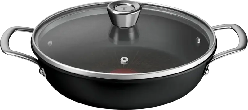 Stewpan Tefal G3308802 Excellence
