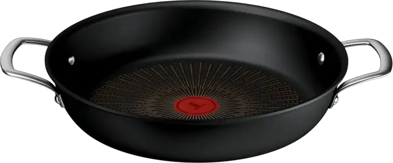Tefal Excellence+ G3308802 Stewpan 24cm, 2.2L Aluminum with Extra Life X9 Non-Stick Coating, Thermo-Signal, Induction Bottom, Glass Lid, Made in France