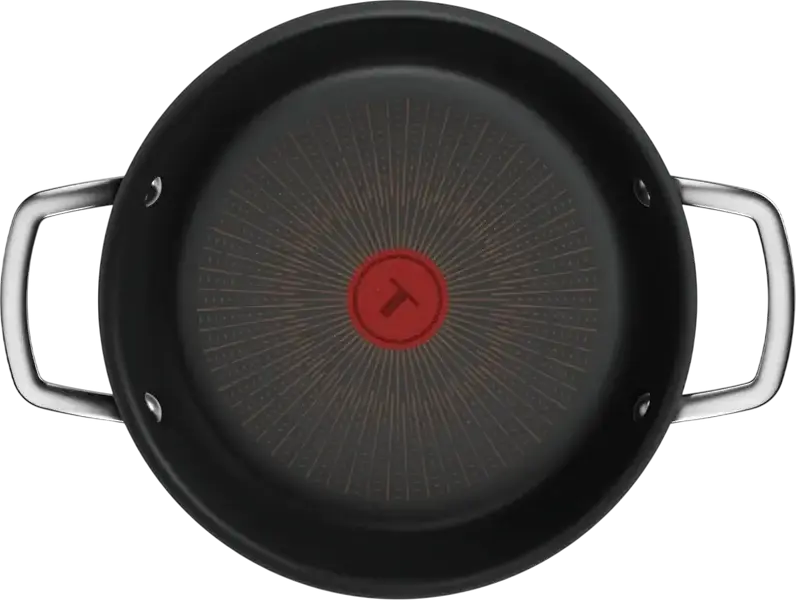 Tefal Excellence+ G3308802 Stewpan 24cm, 2.2L Aluminum with Extra Life X9 Non-Stick Coating, Thermo-Signal, Induction Bottom, Glass Lid, Made in France