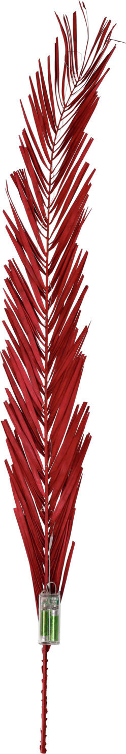 unknown LUSINI Solutions GmbH Dried flower branch Aaren with LEDs Trockenblumenzweig Aaren mit LEDs Dried flower branch Aaren with LEDs; 115 cm (L); dark-red Trockenblumenzweig Aaren mit LEDs; 115 cm (L); dunkelrot Dried flower branch with LEDs, perfect for decorations in floor vases. AA batteries not included. Trockenblumenzweig mit LEDs, perfekt für Dekorationen in Bodenvasen. AA-Batterien nicht im Lieferumfang enthalten.