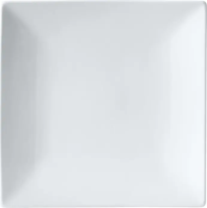 PULSIVA Jandra Square Porcelain Plate, White, 20.5 x 20.5 x 3 cm, Large Mirror Surface, Dishwasher and Microwave Safe