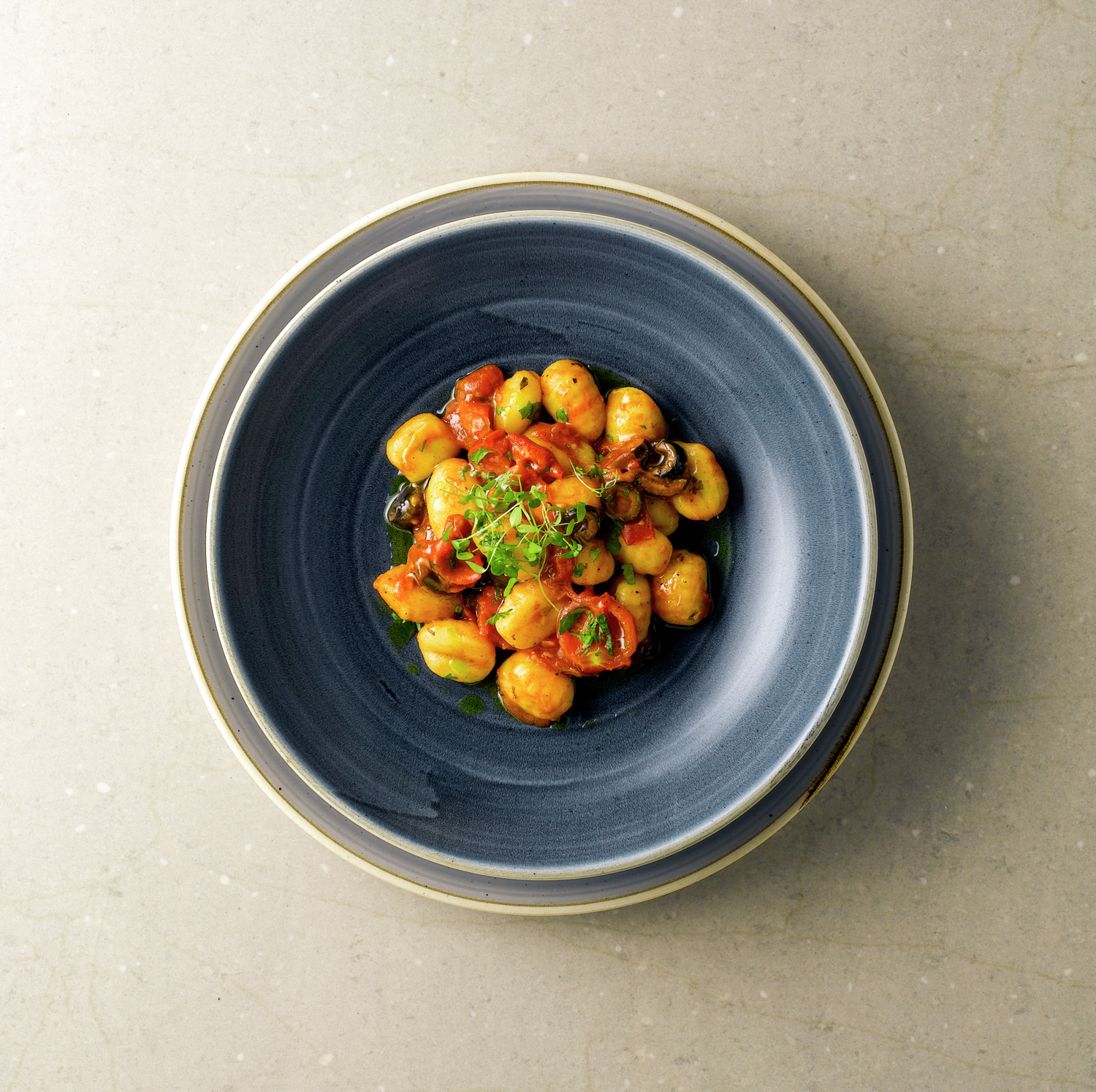Churchill Stonecast Blueberry Coupe Plate 26cm, Super Vitrified Porcelain, Professional Catering Grade, Deep Blue Glaze, Made in England