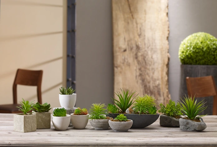 Vega Kisha Decorative Arrangement Set, 3 Piece Ceramic and Plastic Pots, White, 9 cm Diameter, 13 cm Height