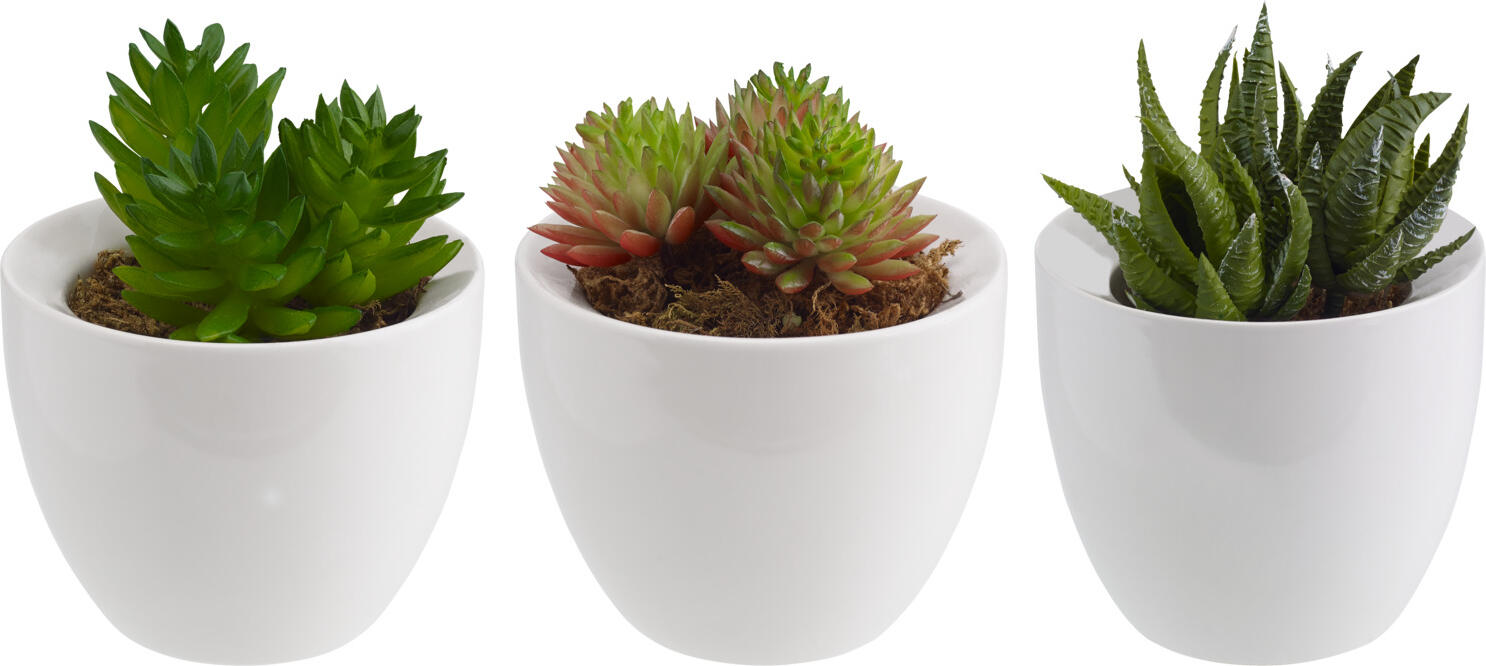 Vega Kisha Decorative Arrangement Set, 3 Piece Ceramic and Plastic Pots, White, 9 cm Diameter, 13 cm Height