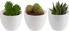 unknown LUSINI Solutions GmbH Decorative arrangement Kisha 3-piece Dekotöpfchen Kisha 3-teilig Decorative arrangement Kisha 3-piece; 9x13 cm (ØxH); white Dekotöpfchen Kisha 3-teilig; 9x13 cm (ØxH); weiß Ceramic and plastic decorative pots. Set of 3 pieces. Dekotöpfchen aus Keramik und Kunststoff. 3-tlg. Set