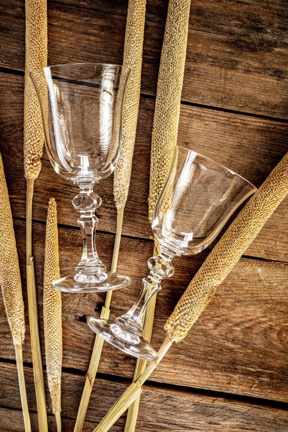Vega Nami Dried Flower Bundle, Natural Dried Reed Stems, 55 cm, Natural Material Decorative Home Decor