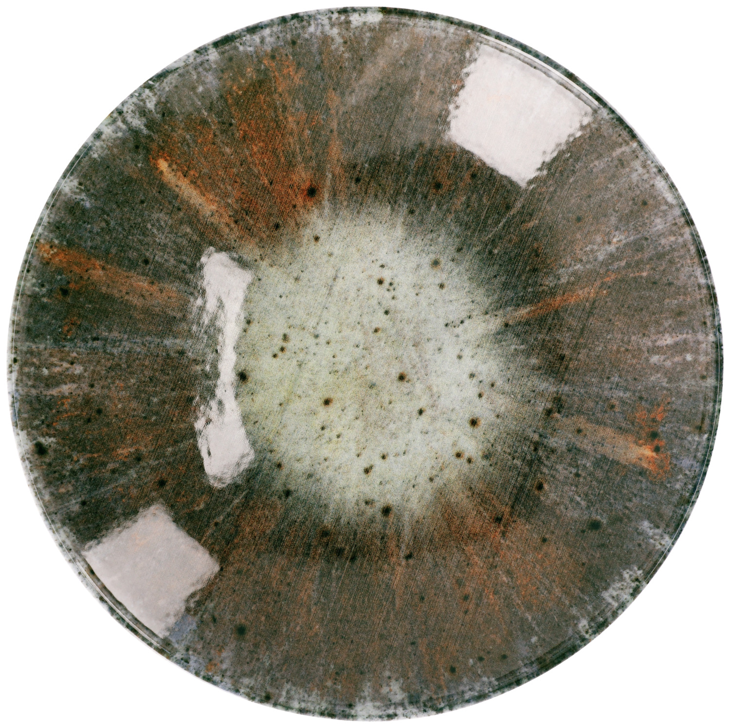 VEGA Saturnus Soup Plate, 30 cm, 1700 ml, 5 cm, Colored Porcelain with Digital Print, Dishwasher and Microwave Safe, i 30216658