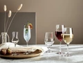 Pahar pentru vin rosu VEGA Chateau, cristal de inalta calitate, 450 ml, marcaj de calibrare 0.2 l, inaltime 22.5 cm, rezistent la masina de spalat vase